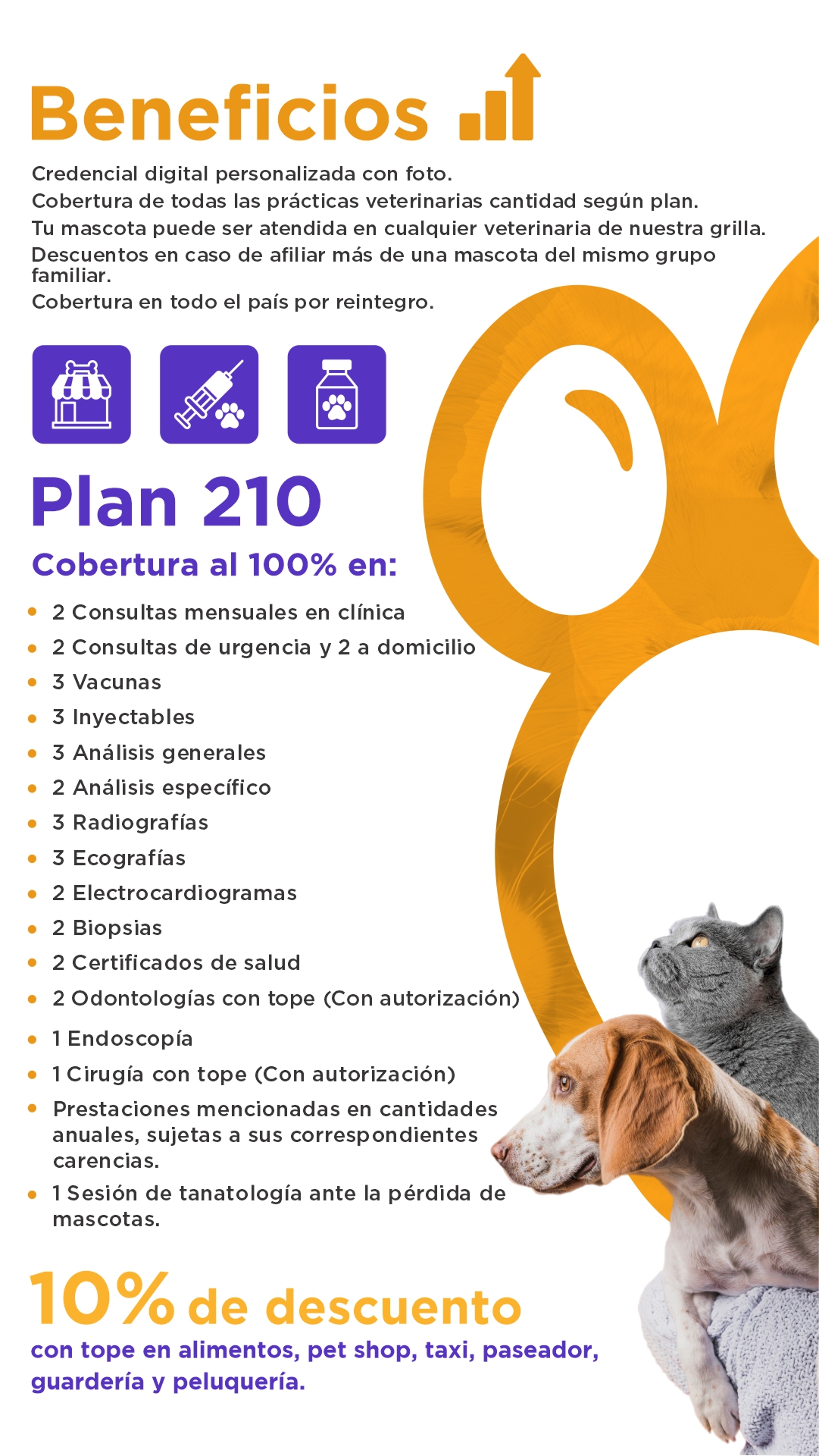 Imagen del PLAN 210