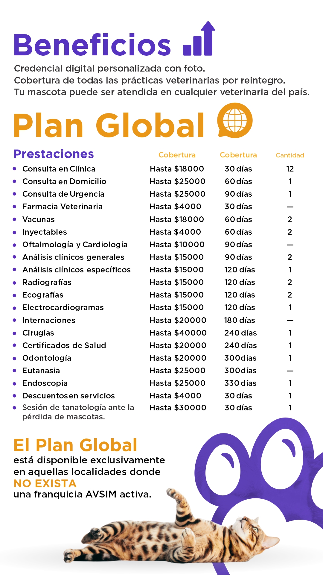 Imagen del PLAN GLOBAL
