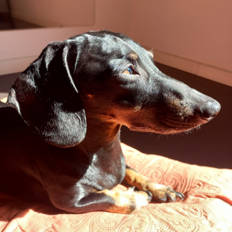 Ejemplo de foto carnet